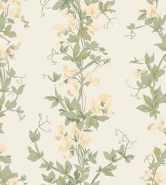 Sweet Pea Wallpaper by Farrow & Ball Cool Sweet Pea Wallpaper by Farrow & Ball Cool