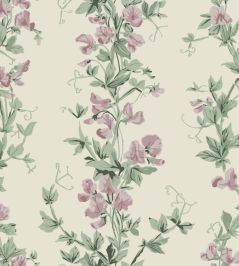 Sweet Pea Wallpaper by Farrow & Ball Pink Sweet Pea Wallpaper by Farrow & Ball Pink