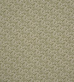 Syon Fabric by Prestigious Textiles Fennel Syon Fabric by Prestigious Textiles Fennel