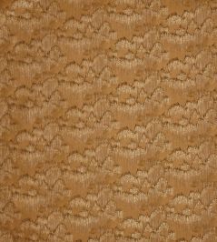 Tai Fabric by Prestigious Textiles Honey Tai Fabric by Prestigious Textiles Honey
