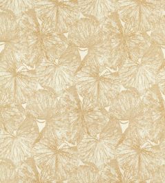 Taisho Weave Fabric by Zoffany Gold Taisho Weave Fabric by Zoffany Gold