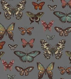 Taman Fabric by Arley House Graphite Taman Fabric by Arley House Graphite