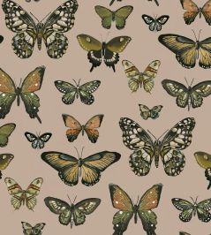 Taman Fabric by Arley House Pearl Taman Fabric by Arley House Pearl