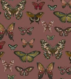 Taman Fabric by Arley House Rose Taman Fabric by Arley House Rose