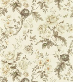 Tansy Bloom Wallpaper by Sanderson Oyster Tansy Bloom Wallpaper by Sanderson Oyster