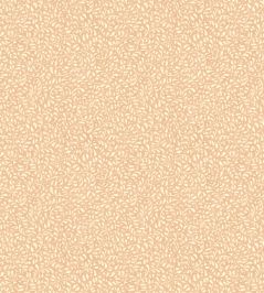 Tansy Wallpaper by GP & J Baker Blush Tansy Wallpaper by GP & J Baker Blush