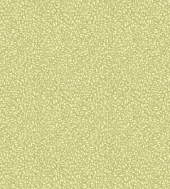 Tansy Wallpaper by GP & J Baker Green Tansy Wallpaper by GP & J Baker Green