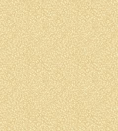 Tansy Wallpaper by GP & J Baker Parchment Tansy Wallpaper by GP & J Baker Parchment
