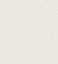 Teddy Fabric by Wemyss Ice Teddy Fabric by Wemyss Ice