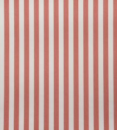 Tequila Fabric by Casal Papaye Tequila Fabric by Casal Papaye