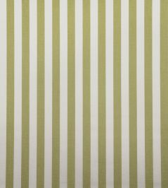 Tequila Fabric by Casal Pomme Tequila Fabric by Casal Pomme