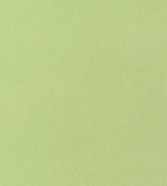 Tessa Fabric by Thibaut Kiwi Tessa Fabric by Thibaut Kiwi