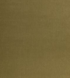 Tetbury Velvet Fabric by GP & J Baker Moss Tetbury Velvet Fabric by GP & J Baker Moss