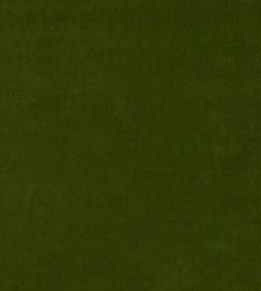Tetbury Velvet Fabric by GP & J Baker Spruce Tetbury Velvet Fabric by GP & J Baker Spruce