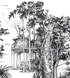 The Garden Shed Mural by Caselio Noir The Garden Shed Mural by Caselio Noir