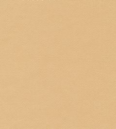 Liso Fabric by The Isle Mill Daisy Liso Fabric by The Isle Mill Daisy