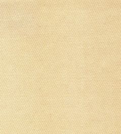Liso Fabric by The Isle Mill Champagne Liso Fabric by The Isle Mill Champagne