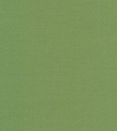 Liso Fabric by The Isle Mill Parakeet Liso Fabric by The Isle Mill Parakeet