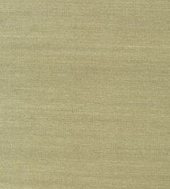 Shang Extra Fine Sisal Wallpaper by Thibaut Moss Shang Extra Fine Sisal Wallpaper by Thibaut Moss