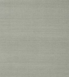 Shang Extra Fine Sisal Wallpaper by Thibaut Flannel Shang Extra Fine Sisal Wallpaper by Thibaut Flannel
