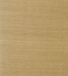 Shang Extra Fine Sisal Wallpaper by Thibaut Wood Shang Extra Fine Sisal Wallpaper by Thibaut Wood
