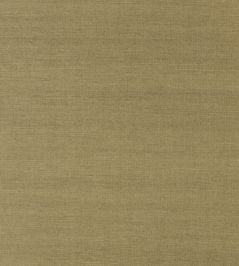 Shang Extra Fine Sisal Wallpaper by Thibaut Khaki Shang Extra Fine Sisal Wallpaper by Thibaut Khaki