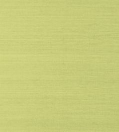 Shang Extra Fine Sisal Wallpaper by Thibaut Green Shang Extra Fine Sisal Wallpaper by Thibaut Green