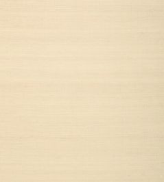 Shang Extra Fine Sisal Wallpaper by Thibaut Sand Shang Extra Fine Sisal Wallpaper by Thibaut Sand