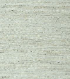 Maranta Arrowroot Wallpaper by Thibaut Aqua Maranta Arrowroot Wallpaper by Thibaut Aqua