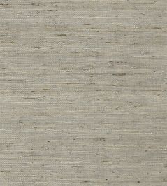 Maranta Arrowroot Wallpaper by Thibaut Grey Maranta Arrowroot Wallpaper by Thibaut Grey