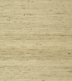 Maranta Arrowroot Wallpaper by Thibaut Beige Maranta Arrowroot Wallpaper by Thibaut Beige