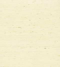 Maranta Arrowroot Wallpaper by Thibaut Cream Maranta Arrowroot Wallpaper by Thibaut Cream