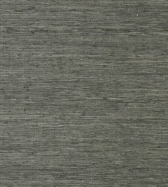 Maranta Arrowroot Wallpaper by Thibaut Black Maranta Arrowroot Wallpaper by Thibaut Black
