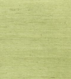 Maranta Arrowroot Wallpaper by Thibaut Green Maranta Arrowroot Wallpaper by Thibaut Green
