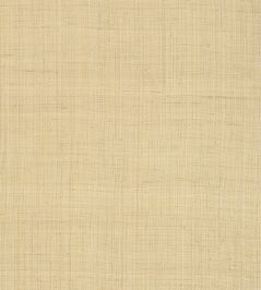 Carolina Raffia Wallpaper by Thibaut Natural Carolina Raffia Wallpaper by Thibaut Natural