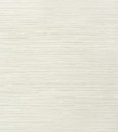 Kendari Grass Wallpaper by Thibaut Cream Kendari Grass Wallpaper by Thibaut Cream