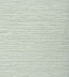 Kendari Grass Wallpaper by Thibaut Robin's Egg Kendari Grass Wallpaper by Thibaut Robin's Egg