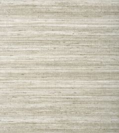 Wild Silk Wallpaper by Thibaut Taupe Wild Silk Wallpaper by Thibaut Taupe