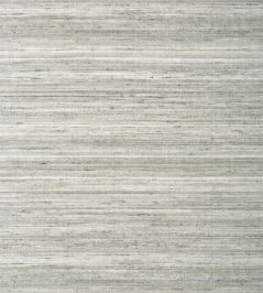 Wild Silk Wallpaper by Thibaut Charcoal on Metallic Silver Wild Silk Wallpaper by Thibaut Charcoal on Metallic Silver