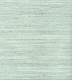 Wild Silk Wallpaper by Thibaut Aqua Wild Silk Wallpaper by Thibaut Aqua