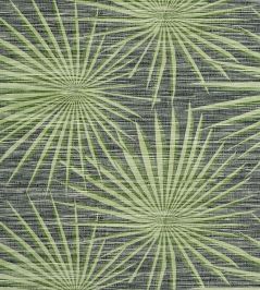 Palm Frond Wallpaper by Thibaut Black and Green Palm Frond Wallpaper by Thibaut Black and Green