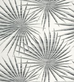 Palm Frond Wallpaper by Thibaut Black and White Palm Frond Wallpaper by Thibaut Black and White