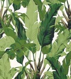 Travelers Palm Wallpaper by Thibaut Green Travelers Palm Wallpaper by Thibaut Green