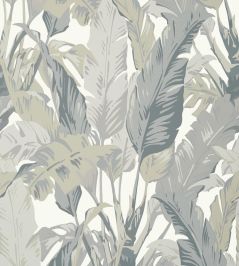 Travelers Palm Wallpaper by Thibaut Grey Travelers Palm Wallpaper by Thibaut Grey