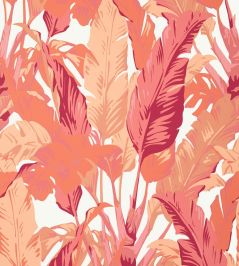 Travelers Palm Wallpaper by Thibaut Pink and Coral Travelers Palm Wallpaper by Thibaut Pink and Coral
