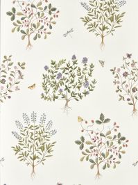 Thyme Walk Wallpaper by Sanderson Damson/Quince Thyme Walk Wallpaper by Sanderson Damson/Quince