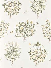Thyme Walk Wallpaper by Sanderson Lichen/Gooseberry Thyme Walk Wallpaper by Sanderson Lichen/Gooseberry