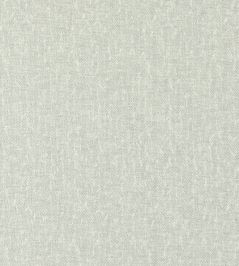 Tierra Fabric by Clarke & Clarke Silver Tierra Fabric by Clarke & Clarke Silver