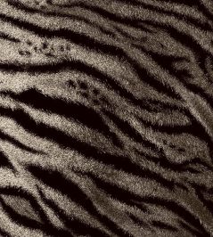 Tiger Fabric by Arley House Cashmere Tiger Fabric by Arley House Cashmere