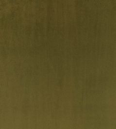 Todd Fabric by Zinc Colibri Todd Fabric by Zinc Colibri